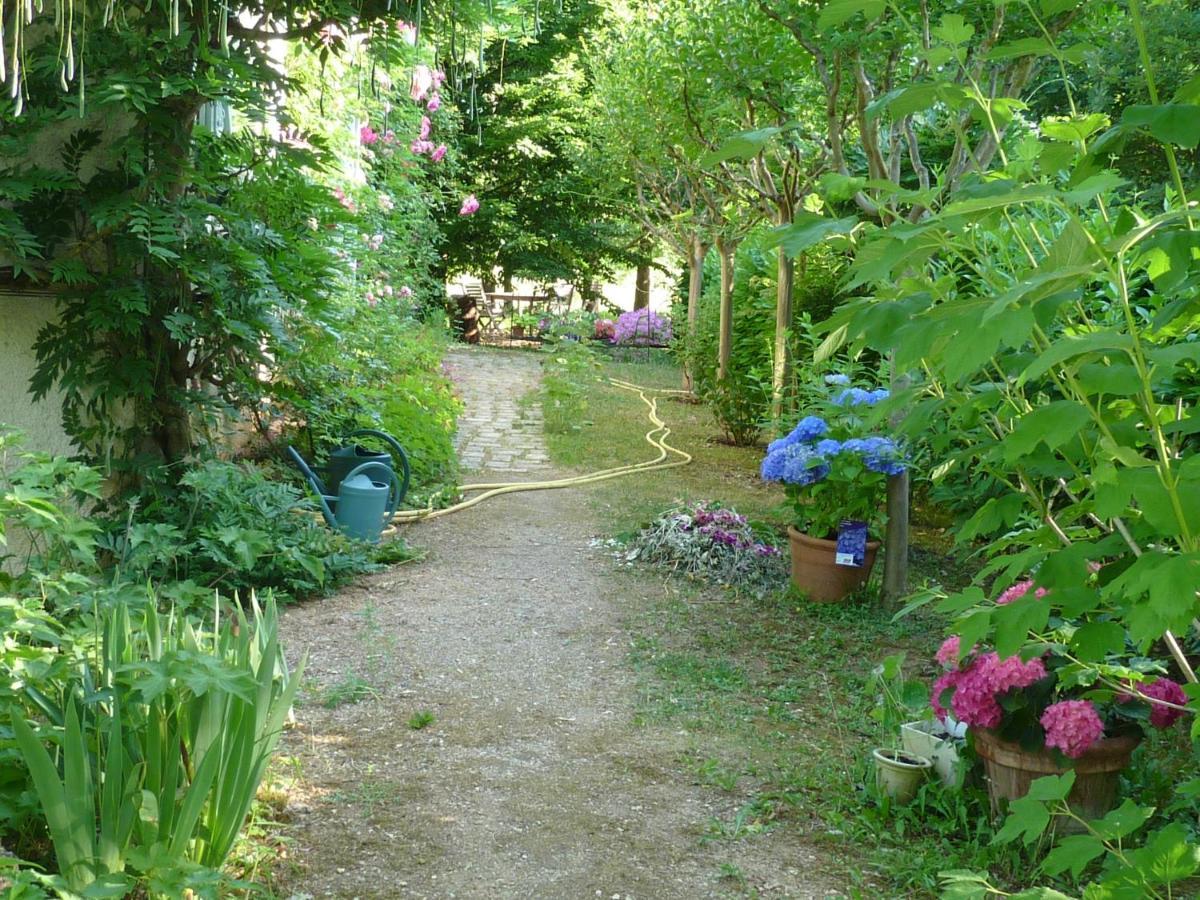 L'Oree Du Bois Luzech Buitenkant foto